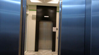 Amatőr pár gyors kamatyolása a liftben - Pornoflix
