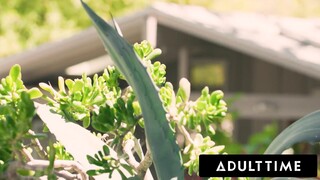 Ebben az Adult Time videóban Emma Rose, a lenyűgöző transzvesztita nő, hosszú lábakkal és feszes, csinos popóval, valamint Hazel Grace, a dögös, ébenfekete szépség, telt mellekkel és tetszetős csípővel, hardcore femdom duóként uralkodnak a vörös hajú, dús